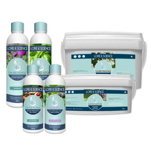 Gastro-Ulcer Protocol for Horses - Lore & Science